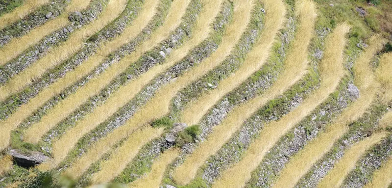 Explore three Kingdoms of Himalaya image de la galerie